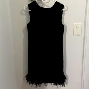 Black formal Ann Taylor dress with faux feathers